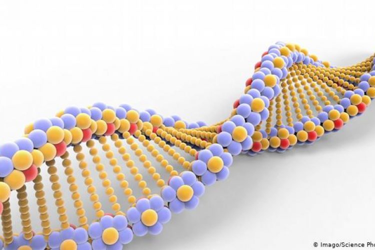 DNA
