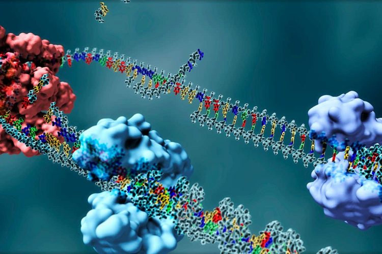 DNA